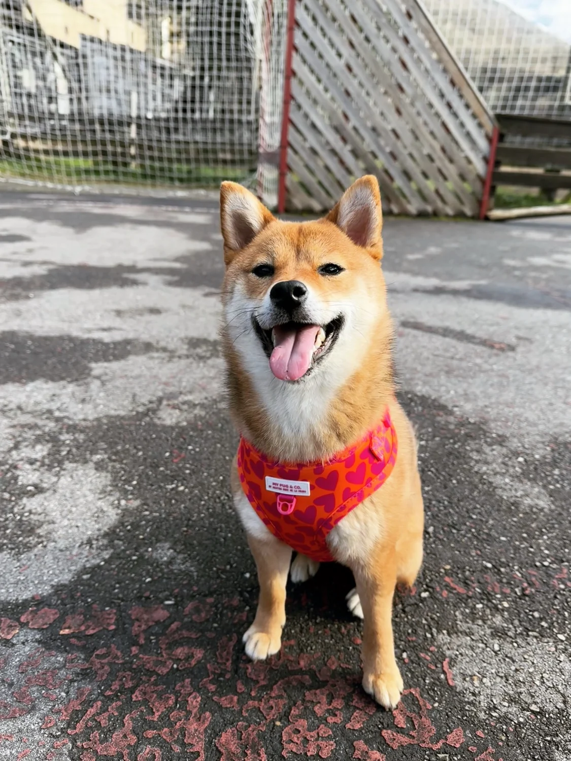 Kira sonriendo